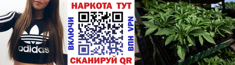 Где купить наркоту Пойковский Псилоцибиновые грибы  Кокаин  Гашиш  МАРИХУАНА 