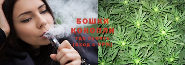 молекула духа Алзамай