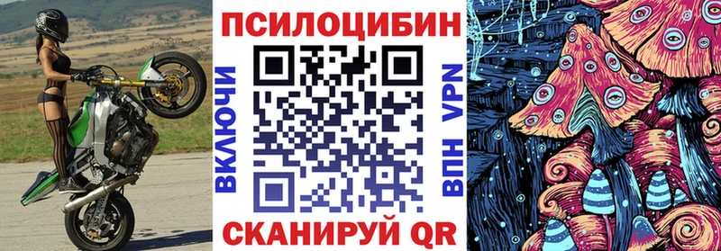 Галлюциногенные грибы прущие грибы hydra ССЫЛКА Пойковский