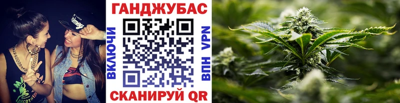 Каннабис индика Пойковский